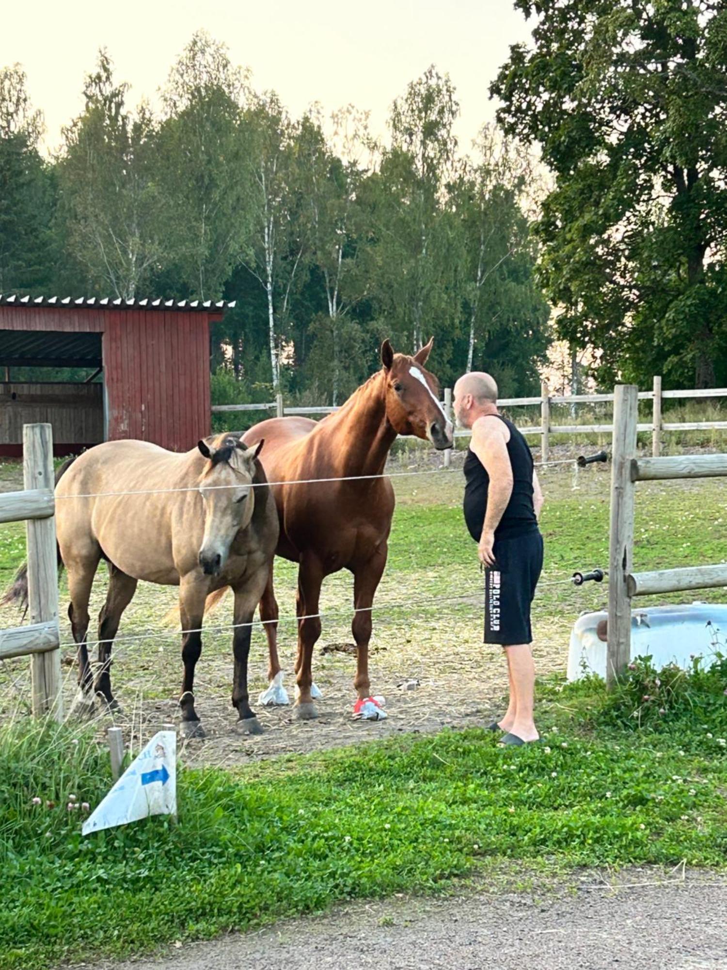 Ulvsby Ranch Western Camp Karlstad Ngoại thất bức ảnh